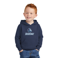 Port & Company® Toddler Core Fleece Pullover Hooded Sweatshirt